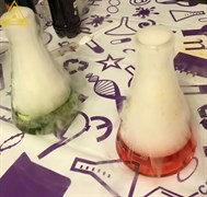 Макет (скатерть на белом фоне) 2041